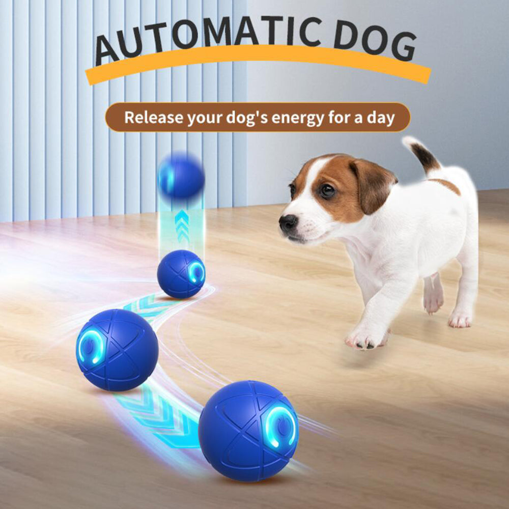 Balle interactive automatique pour chiens et chats