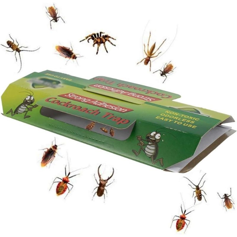 Bed Bug Trap
