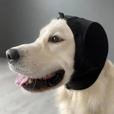 Casque antibruit pour chien pour réduction du bruit et confort