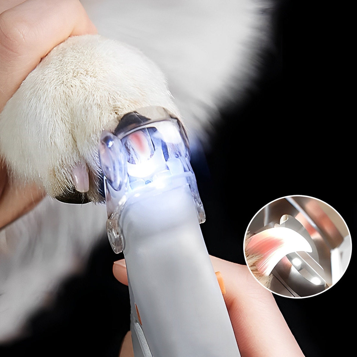 Coupe-griffes pour chien avec lampe LED et loupe 5x, léger et sûr avec poignée antidérapante