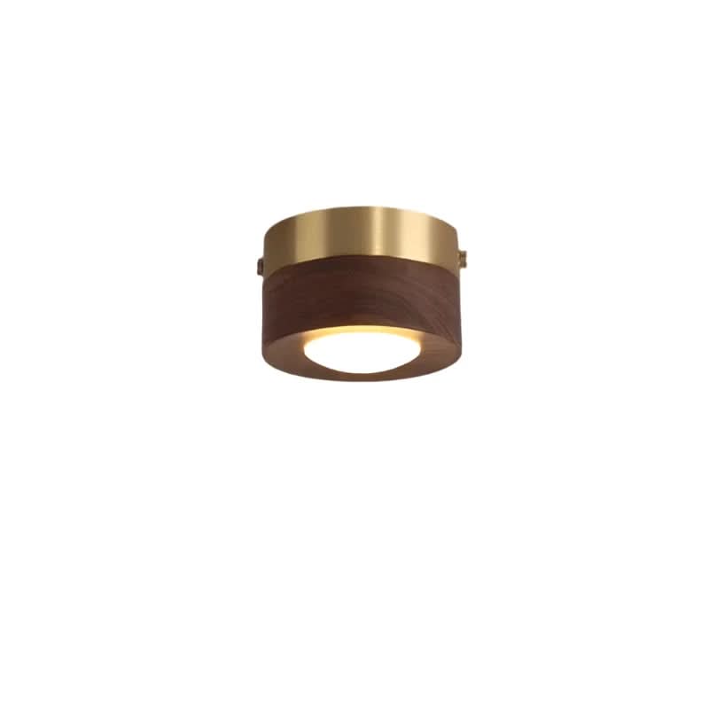 EMBERLED – Energy-saving Walnut Light Solution