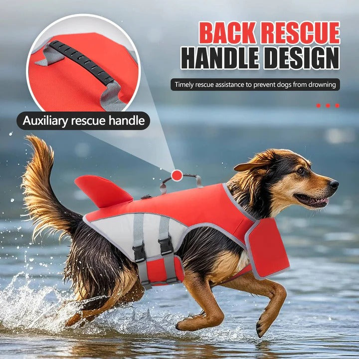 Gilet de sauvetage pour chien avec aide à la flottabilité