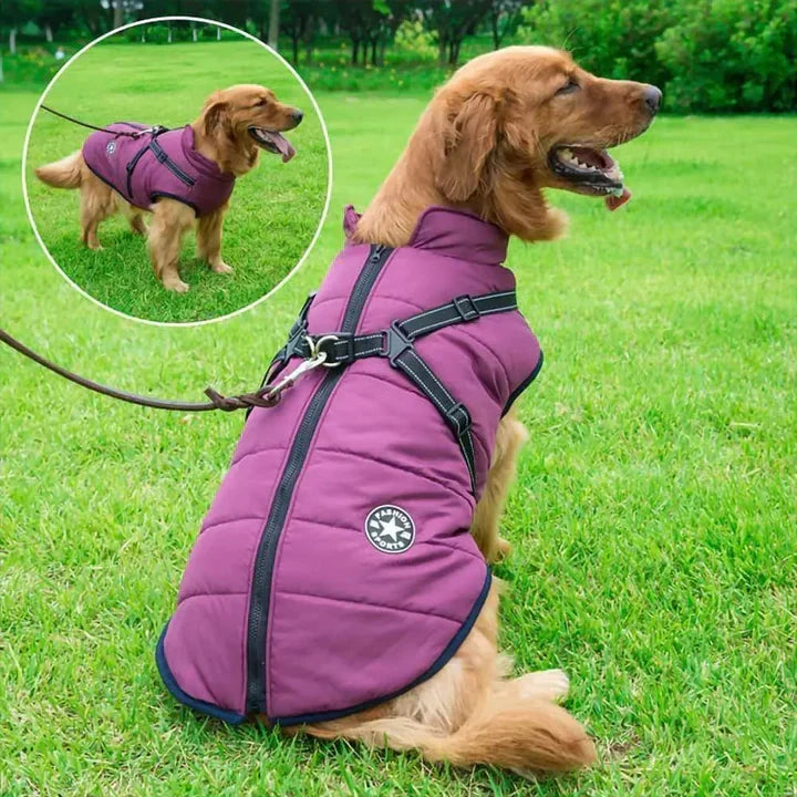 Manteau d'hiver chien 3-en-1 chaud, imperméable, coupe-vent avec harnais intégré
