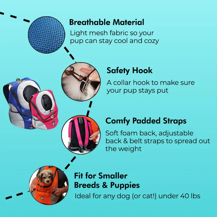 Sac à dos ergonomique pour chien avec rembourrage et bretelles ajustables