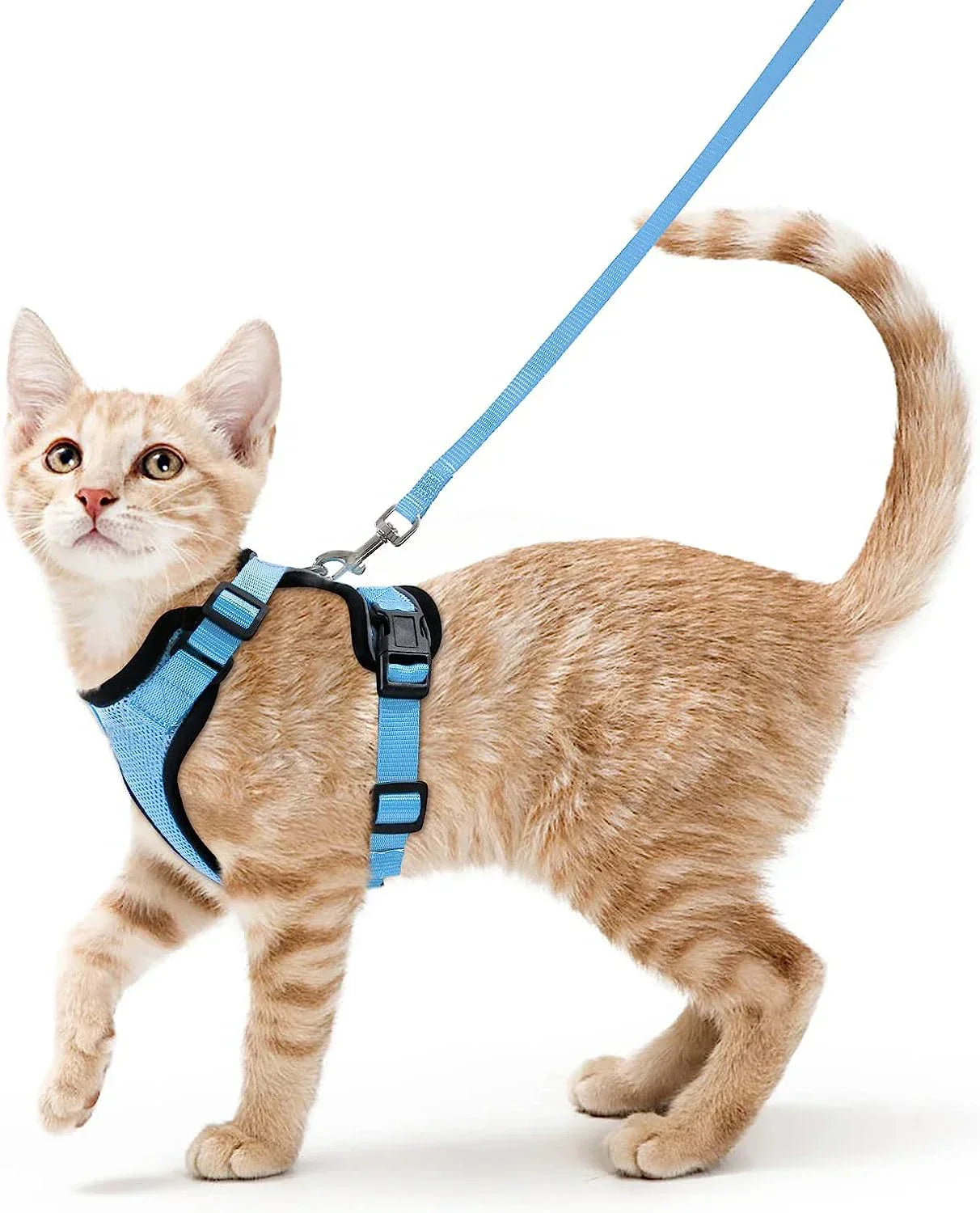 Soft and Safe Harnesses for Walking with Your Cat
