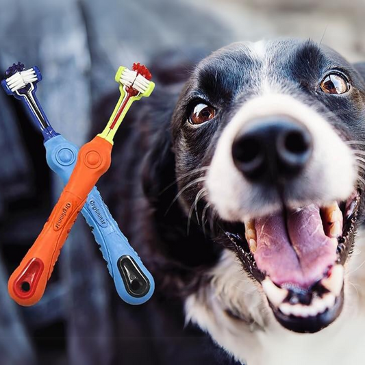 2-Piece Triangular Pet Toothbrush - Tartar Control for Healthy Teeth