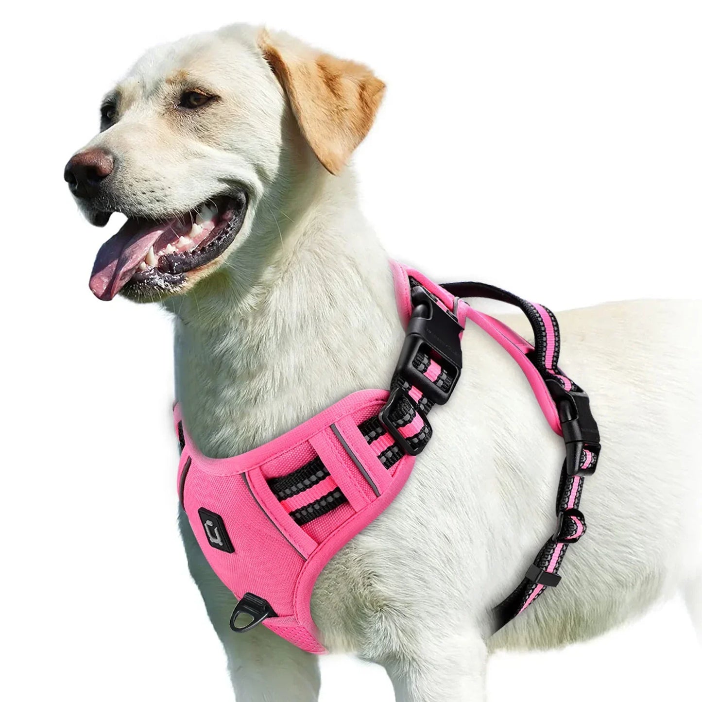 Adjustable Dog Harness for Comfortable Walks