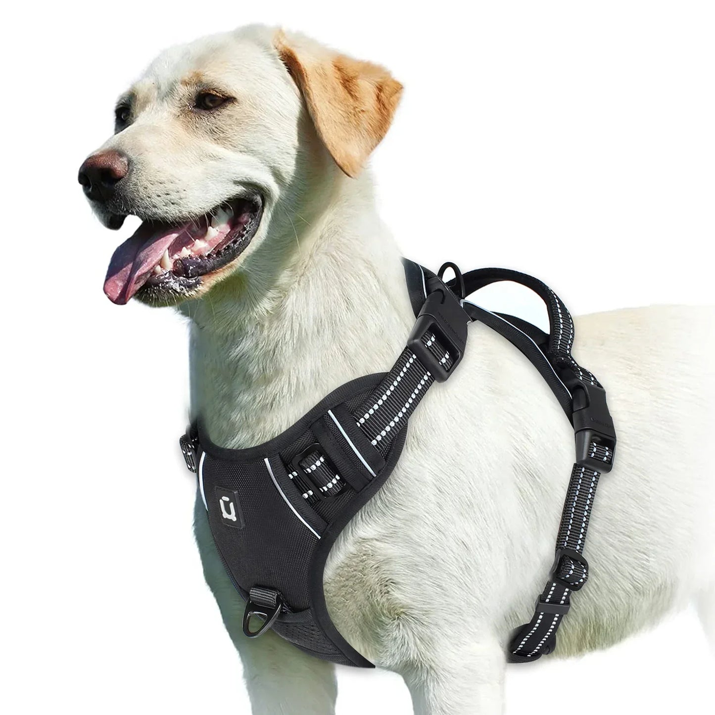 Adjustable Dog Harness for Comfortable Walks