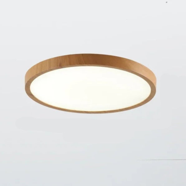 Aeris Minimalist Ceiling Light for Home | Olvoria