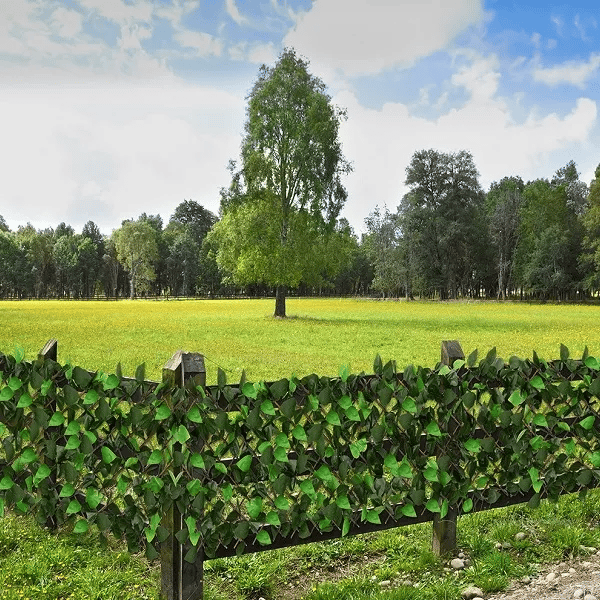 Ajoutez facilement un brise-vue d'aspect naturel à votre jardin