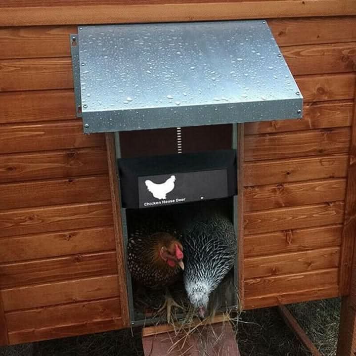 AUTOCOOP – Automatic Chicken Coop Door with Light Sensor & Weather Protection