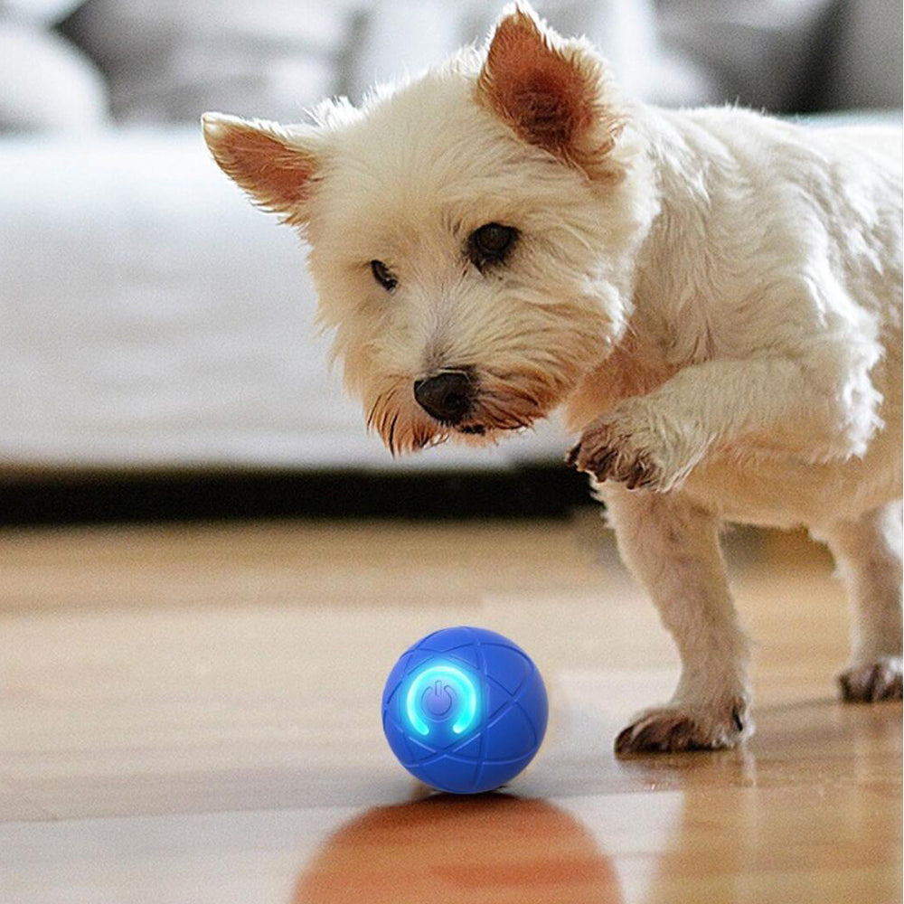 Balle interactive automatique pour chiens et chats