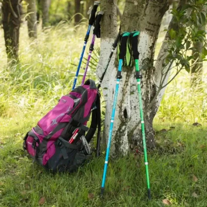 Bâton de trekking aluminium pliable pour la randonnée sans effort