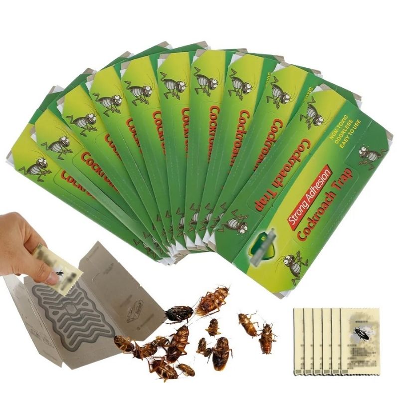Bed Bug Trap