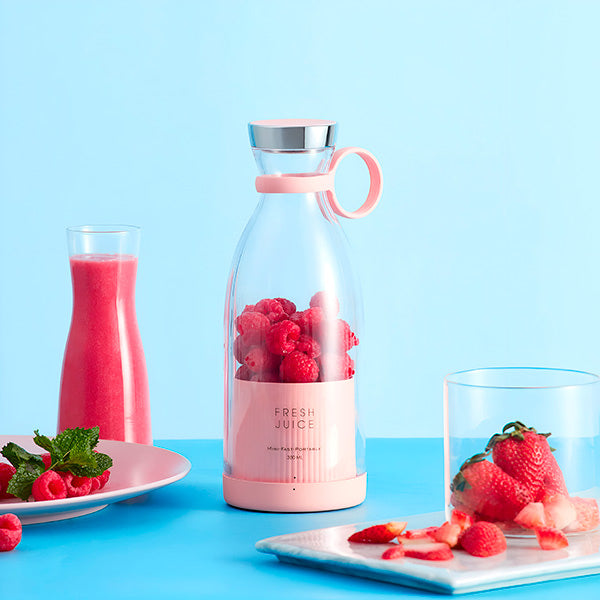 Blender portable