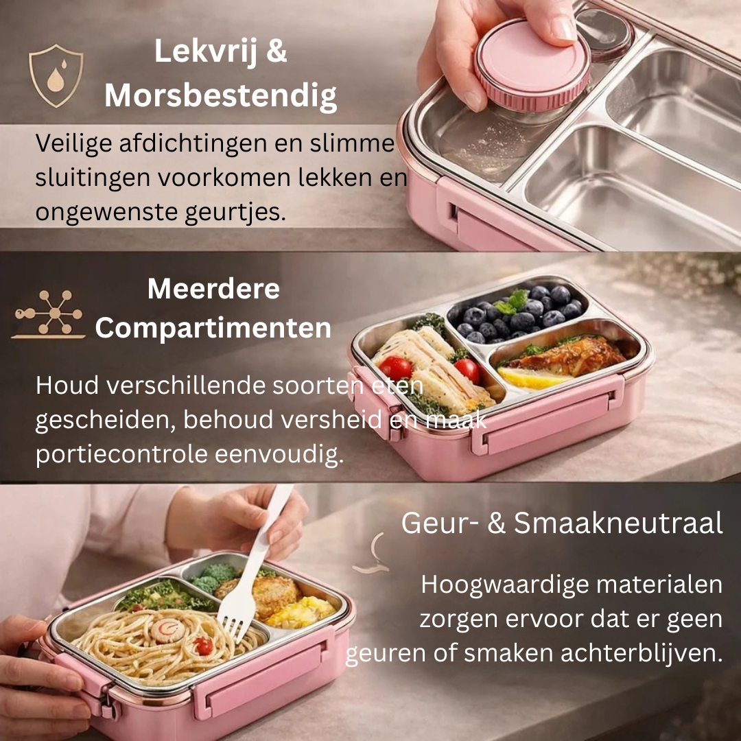 Boîte à repas isotherme pour la promenade et le transport