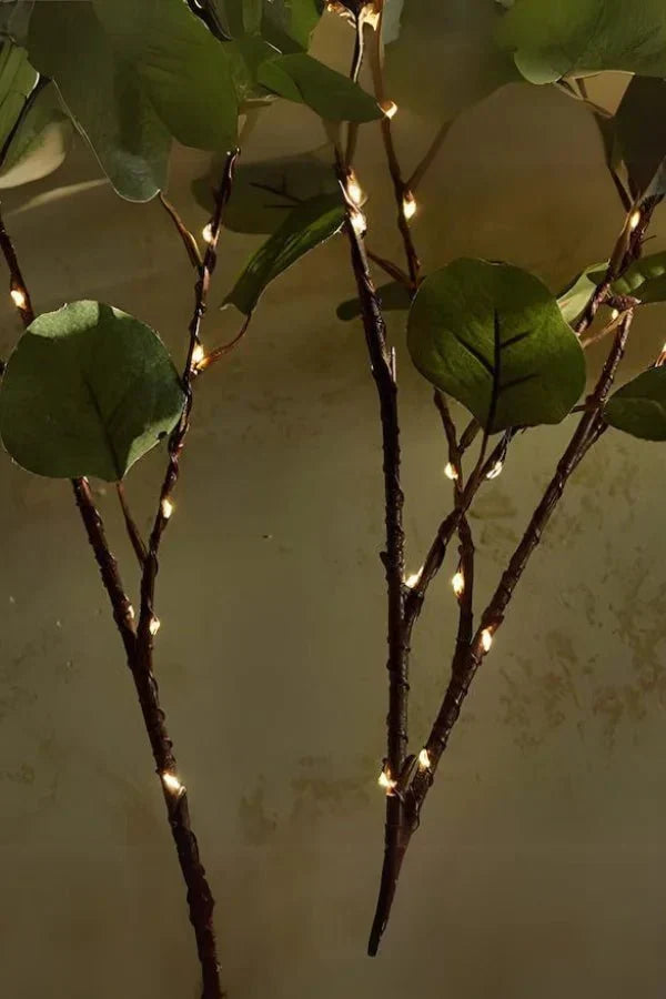 Branches lumineuses
