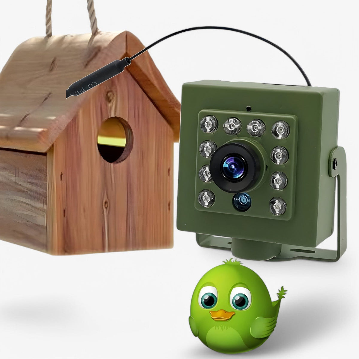 Caméra de nid d'oiseau WiFi HD – Caméra de faune 1080p étanche d'extérieur avec vision nocturne