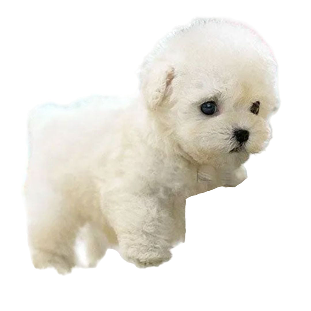 Chiot peluche interactif - design réaliste avec mouvements - Idéal pour apprendre à s'occuper d'un animal