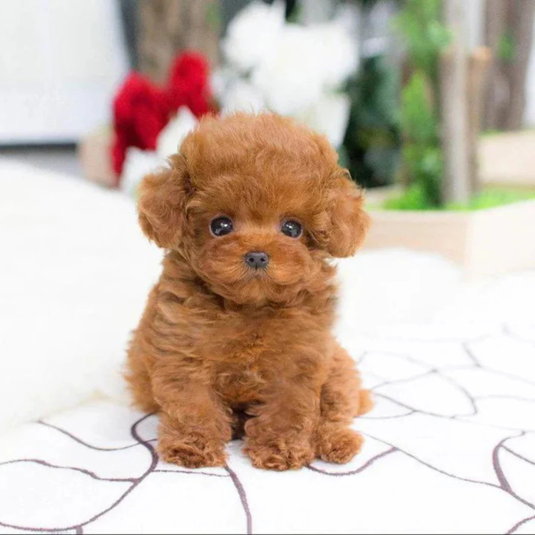 Chiot robot réaliste