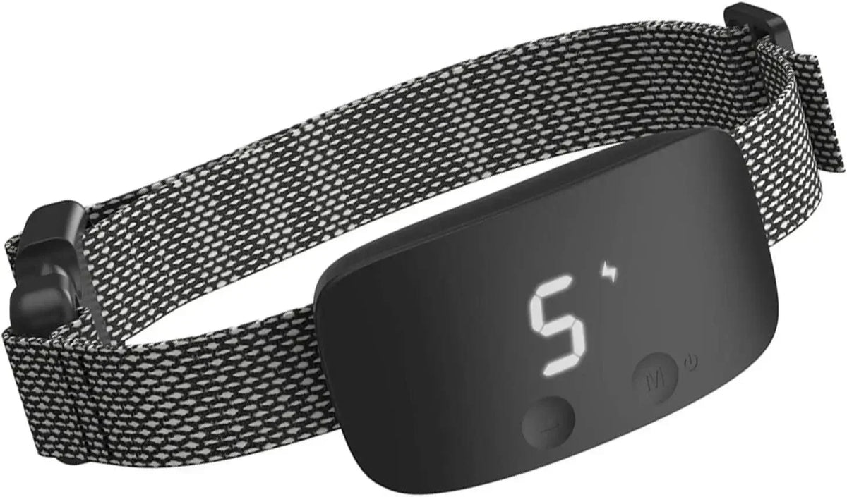 Collier anti-aboiement pour chien rechargeable et étanche