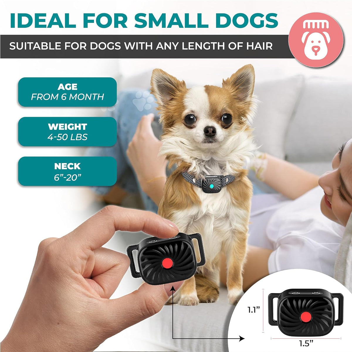Collier anti-aboiement pour petits chiens