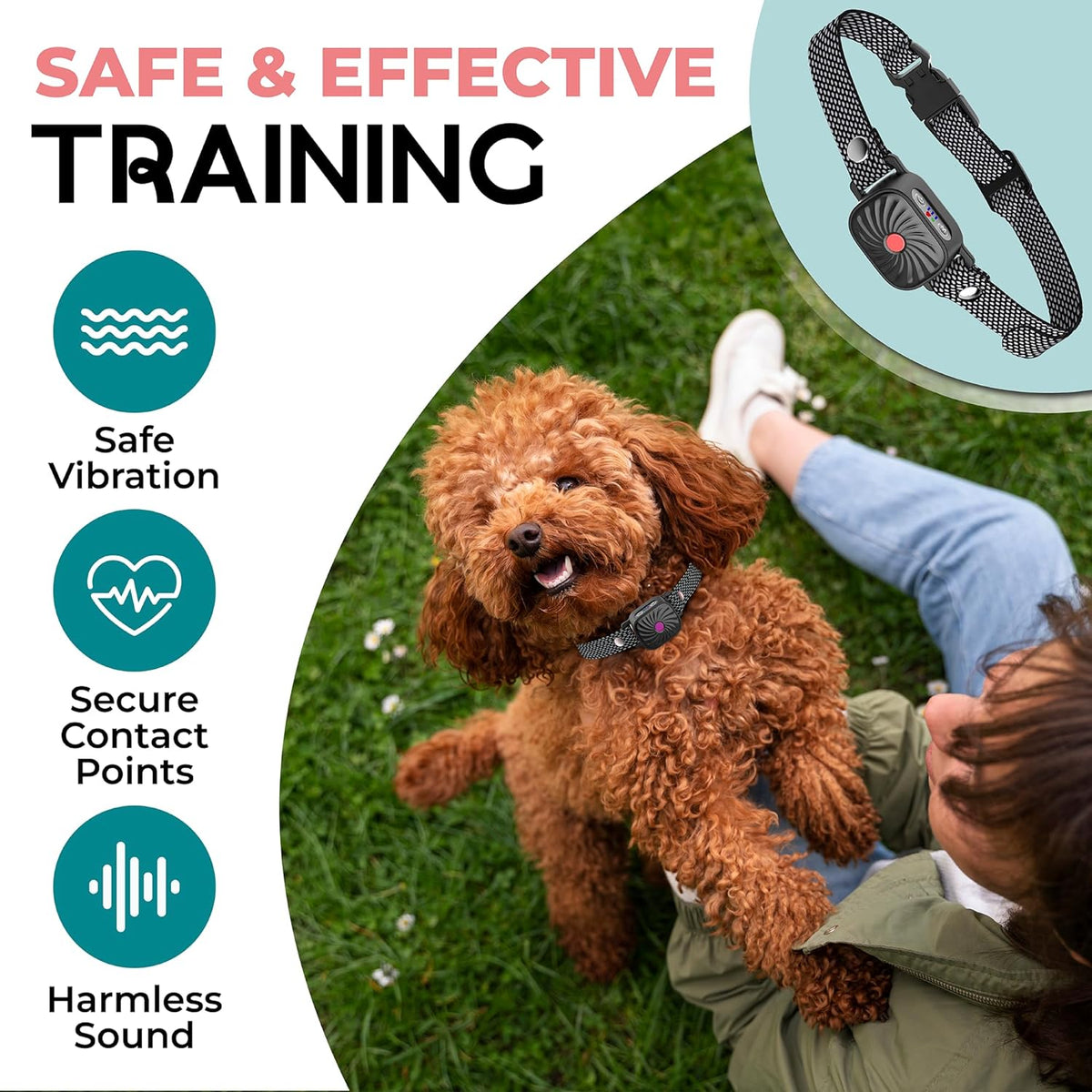 Collier anti-aboiement pour petits chiens