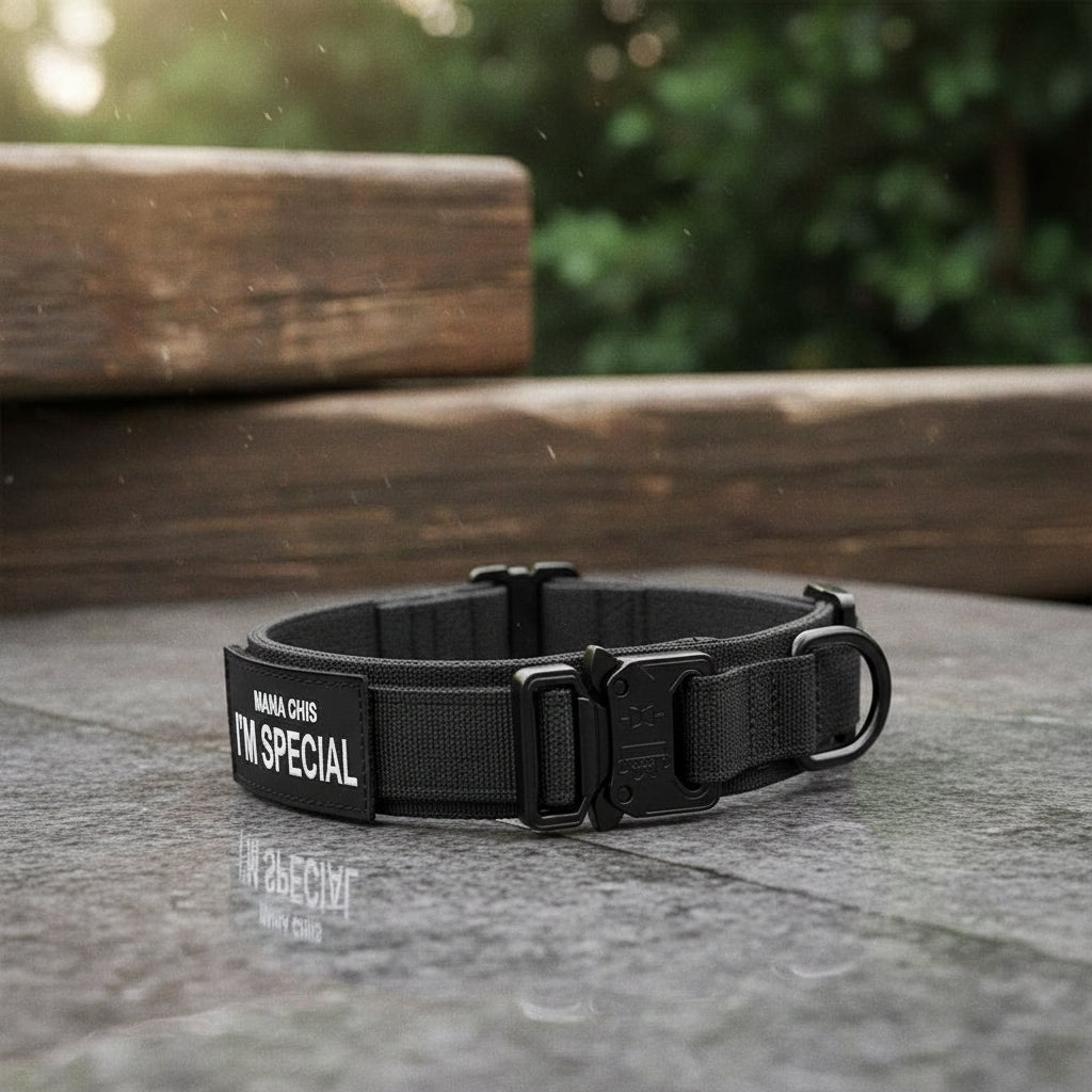 Collier de chien réglable en nylon durable, imperméable, avec poignée ergonomique, pour chiens de taille moyenne et grande