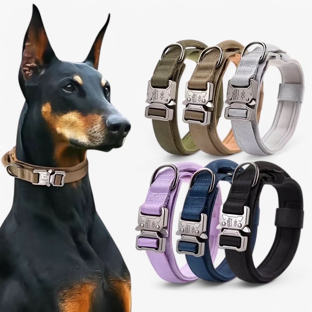 Collier de chien réglable en nylon durable, imperméable, avec poignée ergonomique, pour chiens de taille moyenne et grande