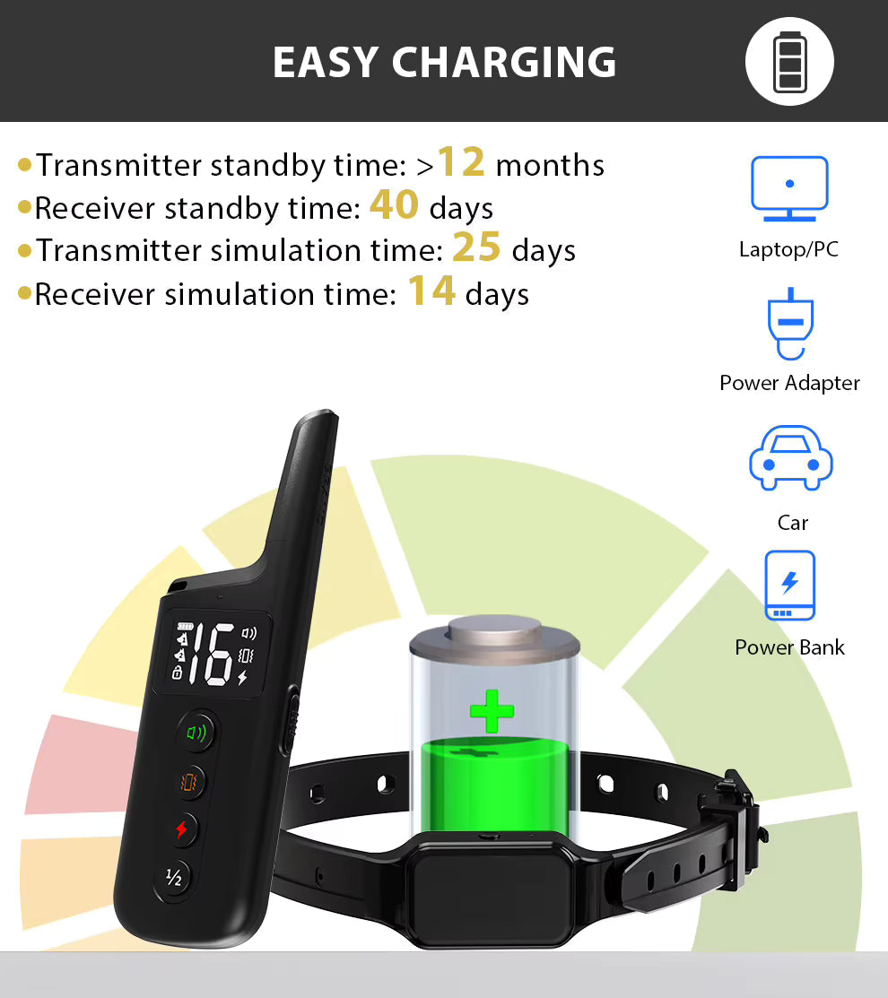 Collier de dressage électrique – télécommande 500m, étanche IPX7, modes choc, vibration et son
