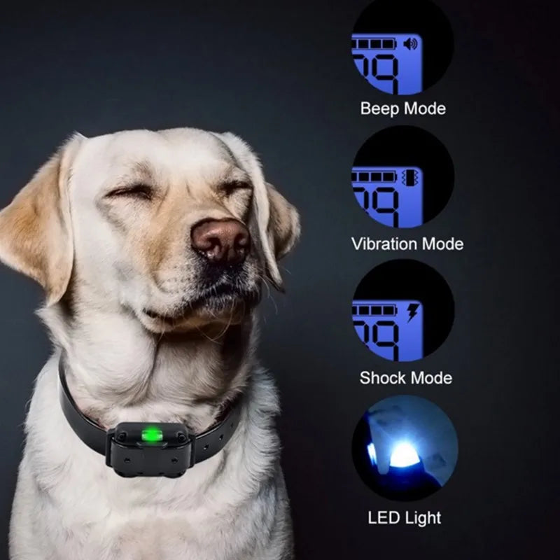 Collier de dressage électronique pour chiens – sûr, efficace, avec télécommande