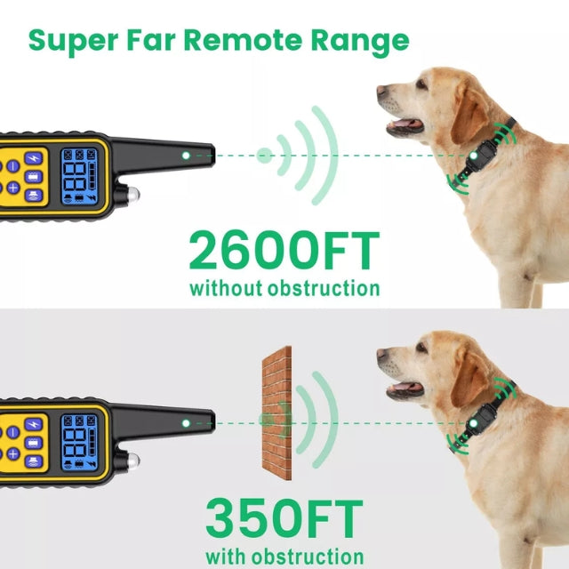 Collier de dressage électronique pour chiens – sûr, efficace, avec télécommande