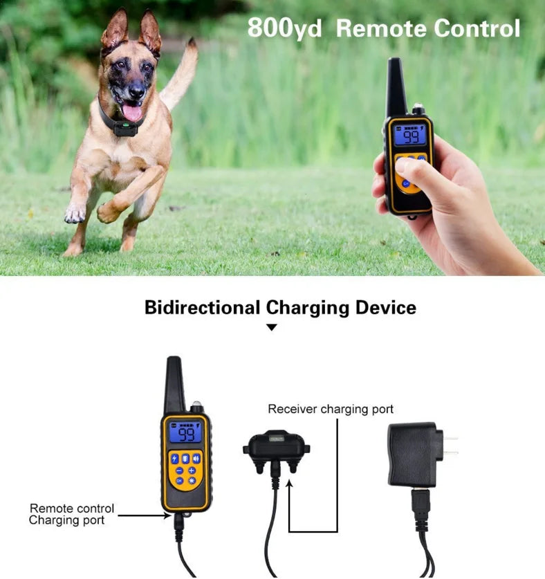 Collier de dressage électronique pour chiens – sûr, efficace, avec télécommande