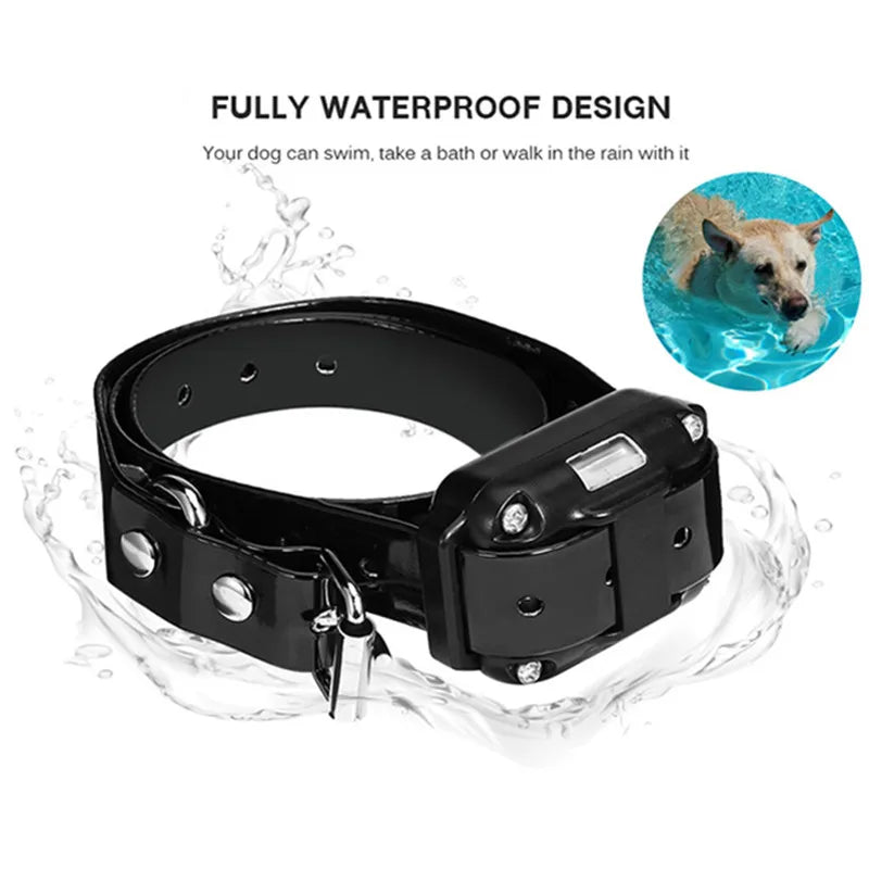 Collier de dressage électronique pour chiens – sûr, efficace, avec télécommande