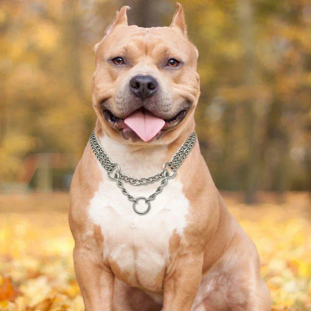 Collier de dressage pour chien en acier inoxydable