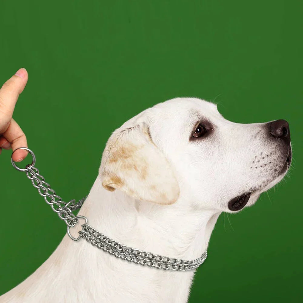 Collier de dressage pour chien en acier inoxydable