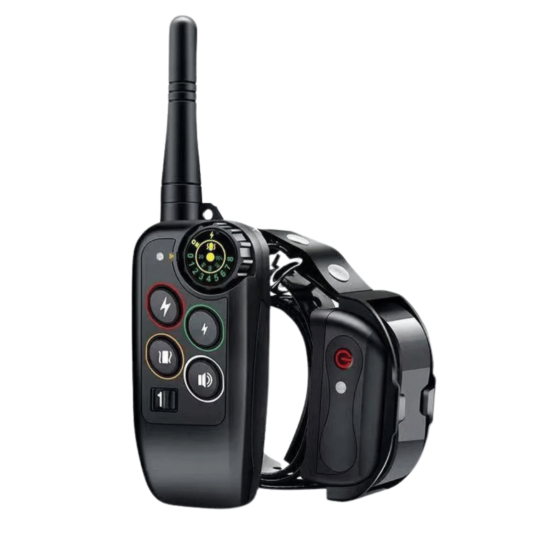 Collier de dressage pour chien étanche longue portée 1000m avec télécommande