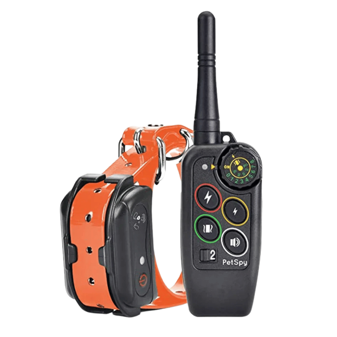 Collier de dressage pour chien étanche longue portée 1000m avec télécommande