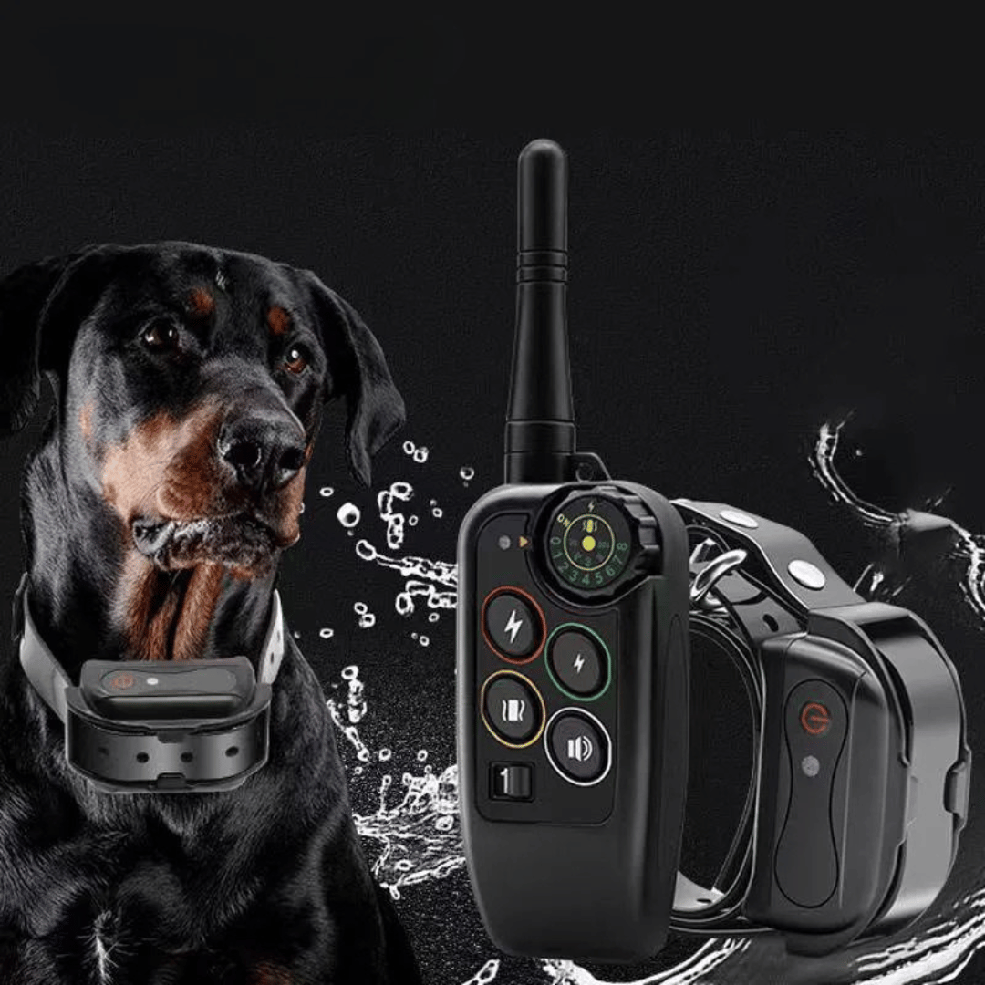 Collier de dressage pour chien étanche longue portée 1000m avec télécommande
