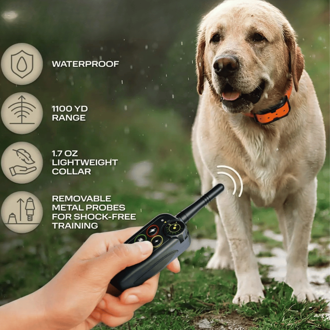 Collier de dressage pour chien étanche longue portée 1000m avec télécommande