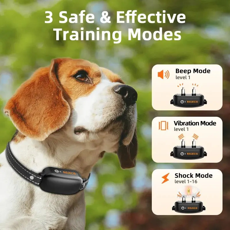 Collier de dressage rechargeable et étanche pour chien avec télécommande