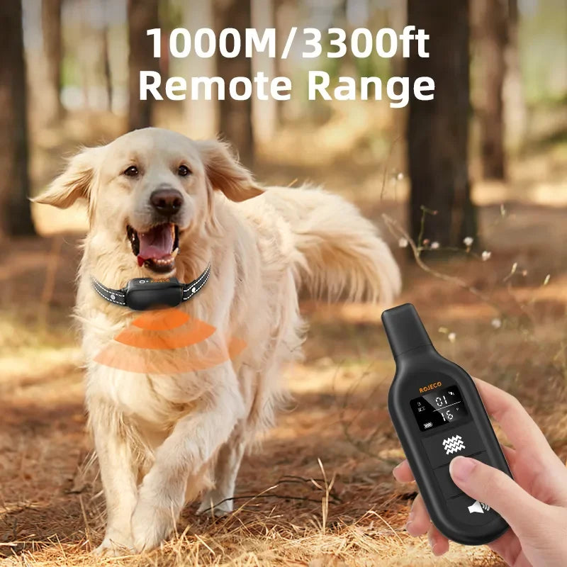 Collier de dressage rechargeable et étanche pour chien avec télécommande