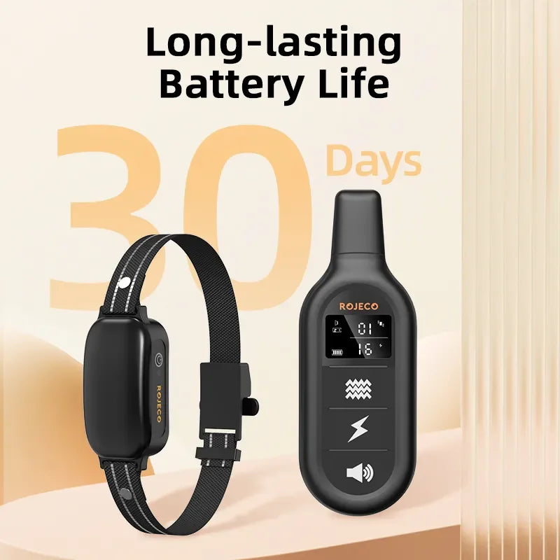 Collier de dressage rechargeable et étanche pour chien avec télécommande