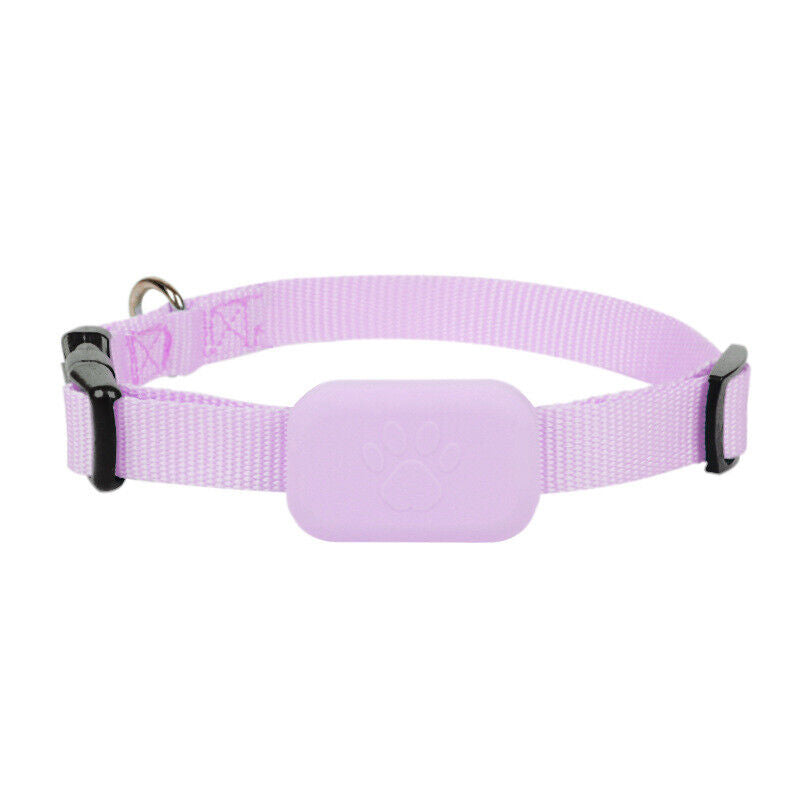 Collier de localisation GPS pour chiens et chats avec suivi en temps réel