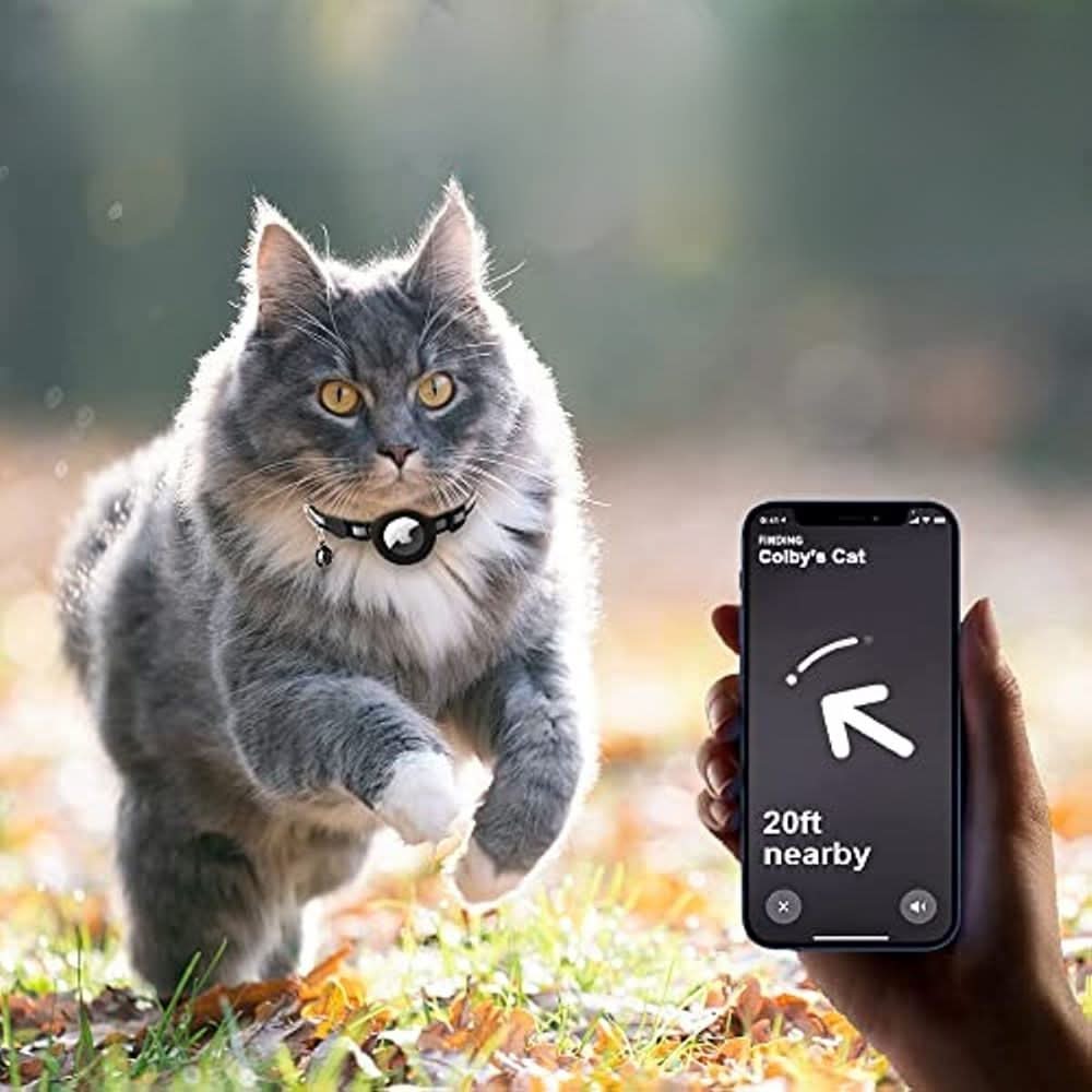 Collier GPS pour chat au design réfléchissant