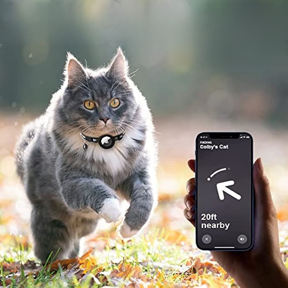 Collier GPS pour chat avec réflecteur de sécurité