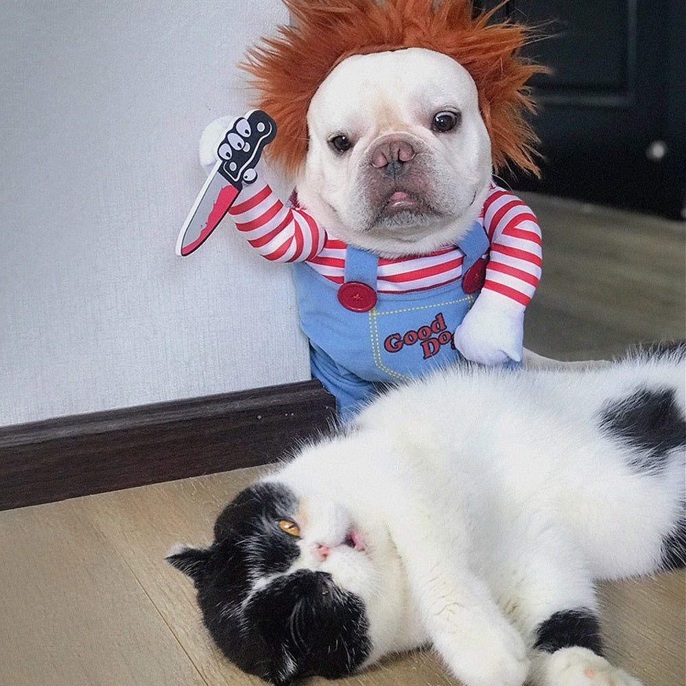 Costume d'Halloween le plus drôle et le plus effrayant pour animaux de compagnie