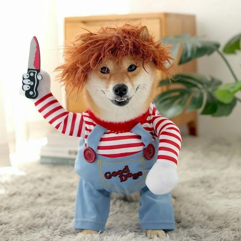Costume d'Halloween le plus drôle et le plus effrayant pour animaux de compagnie