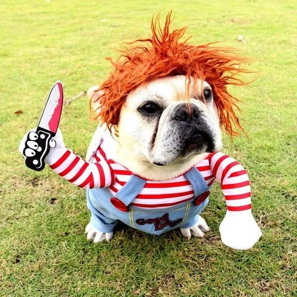 Costume d'Halloween le plus drôle et le plus effrayant pour animaux de compagnie