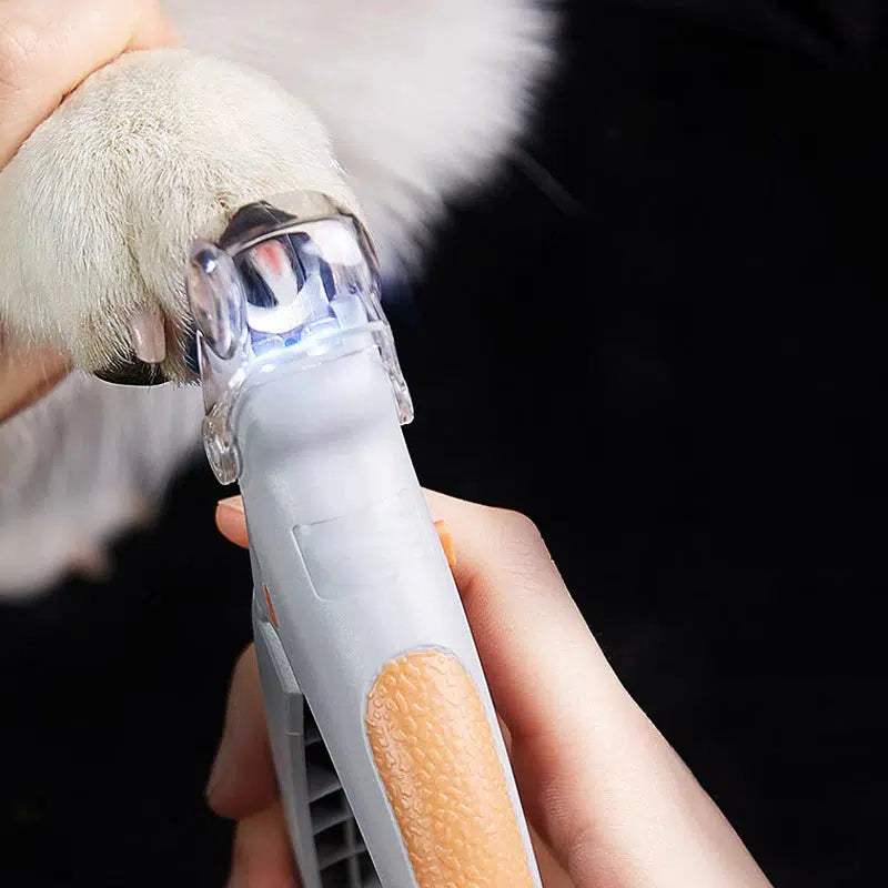 Coupe-griffes pour chien avec détecteur de vaisseau sanguin